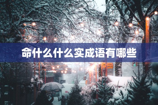 命什么什么实成语有哪些 命什么什么实成语有哪些