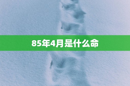 85年4月是什么命