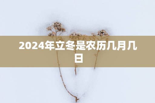 2025年立冬是农历几月几日