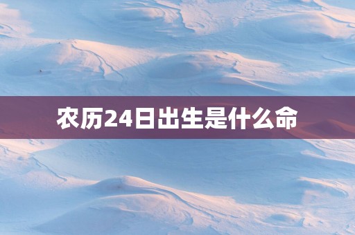 农历24日出生是什么命