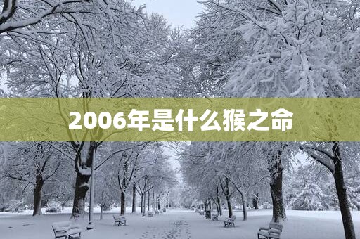 2006年是什么猴之命