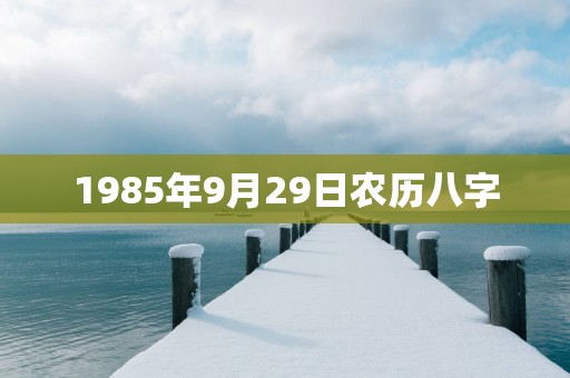 1985年9月29日农历八字