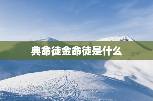 典命徒金命徒是什么