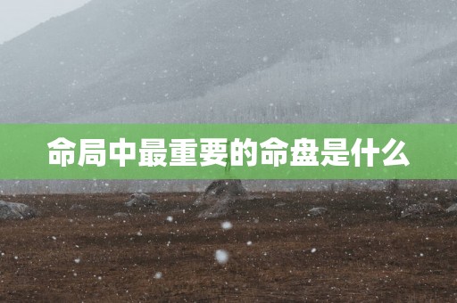 命局中最重要的命盘是什么