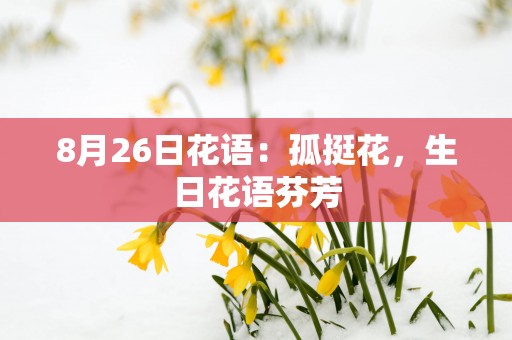 8月26日花语：孤挺花，生日花语芬芳