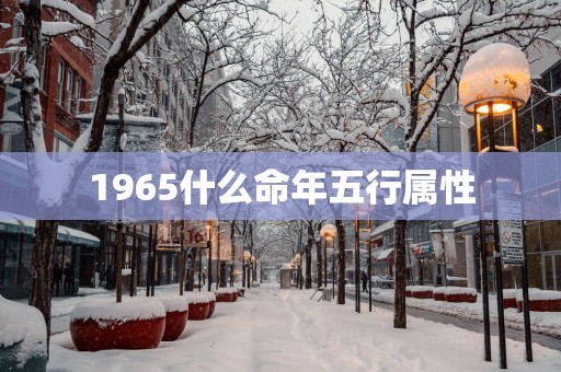1965什么命年五行属性