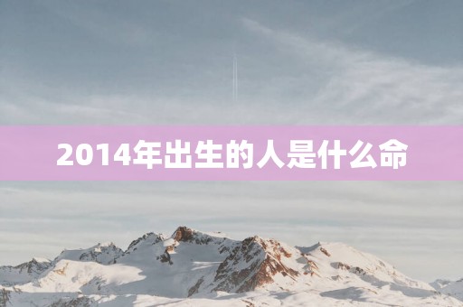 2014年出生的人是什么命