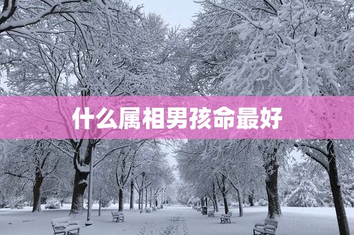 什么属相男孩命最好