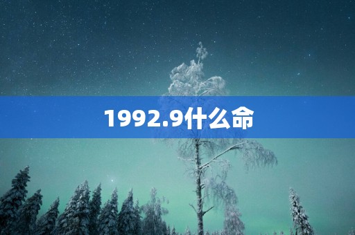 1992.9什么命