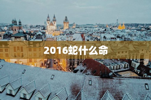 2016蛇什么命