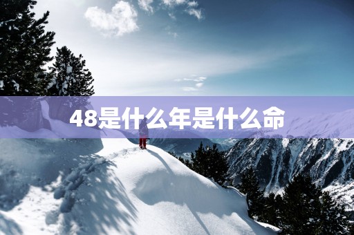 48是什么年是什么命