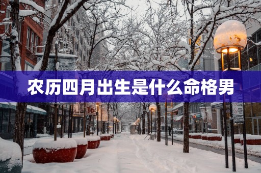 农历四月出生是什么命格男