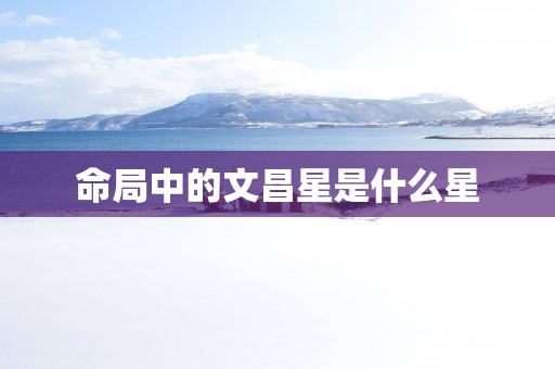 命局中的文昌星是什么星