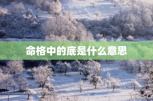 命格中的底是什么意思