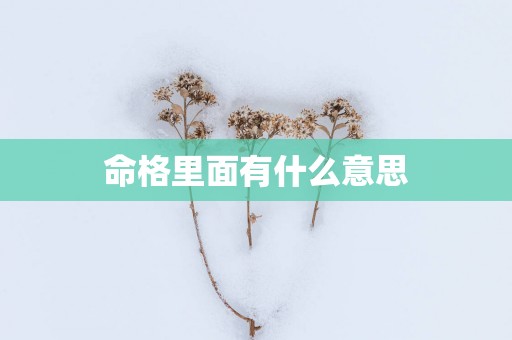 命格里面有什么意思