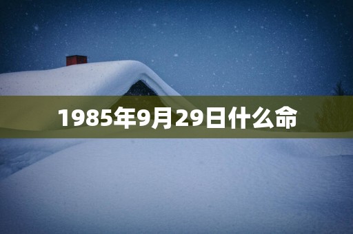 1985年9月29日什么命