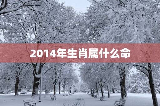 2014年生肖属什么命