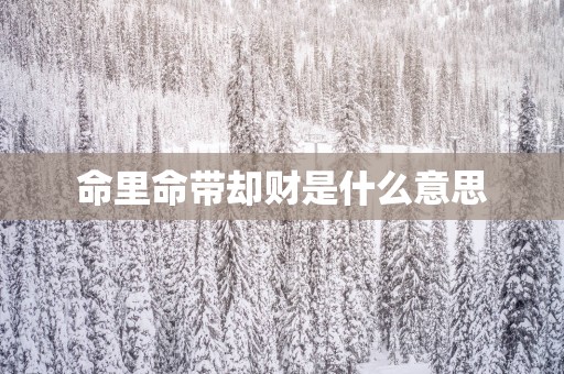 命里命带却财是什么意思