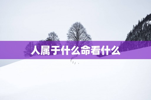 人属于什么命看什么
