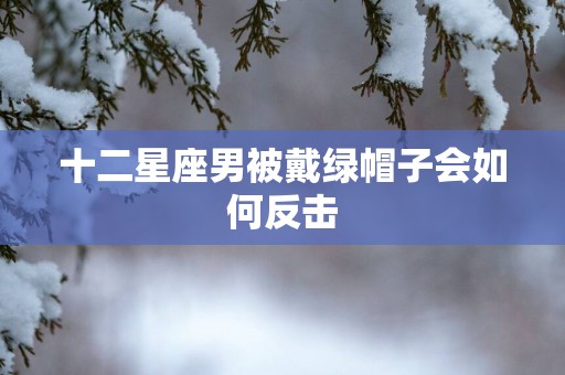 十二星座男被戴绿帽子会如何反击