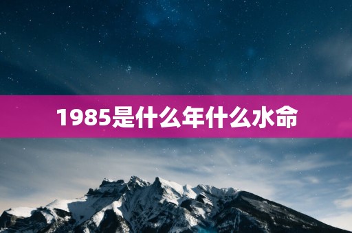 1985是什么年什么水命