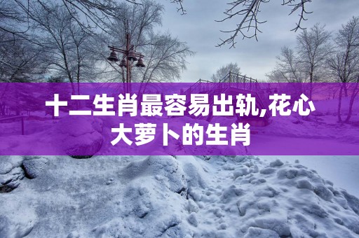 十二生肖最容易出轨,花心大萝卜的生肖