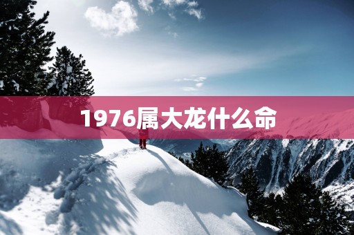 1976属大龙什么命