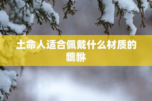 土命人适合佩戴什么材质的貔貅