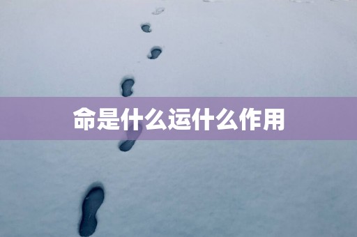 命是什么运什么作用