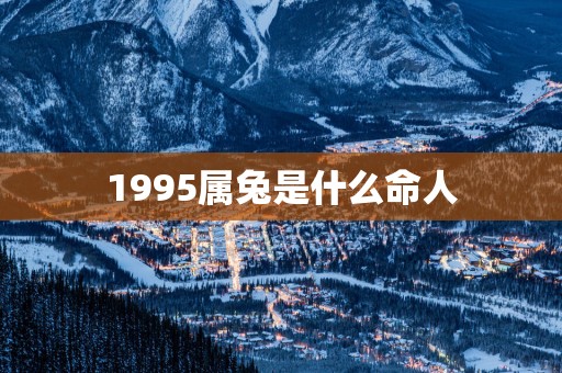 1995属兔是什么命人