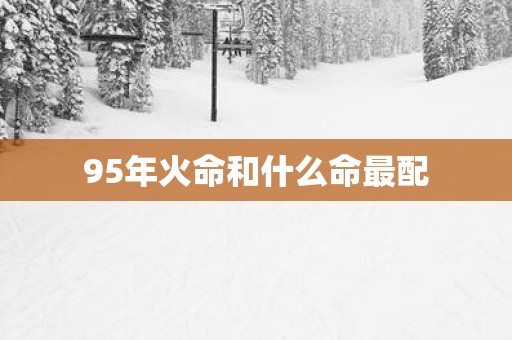 95年火命和什么命最配