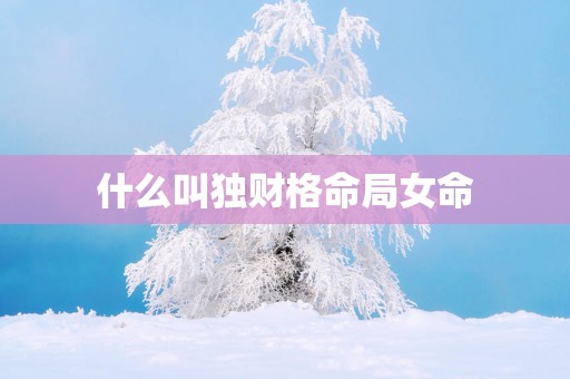 什么叫独财格命局女命