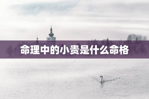 命理中的小贵是什么命格