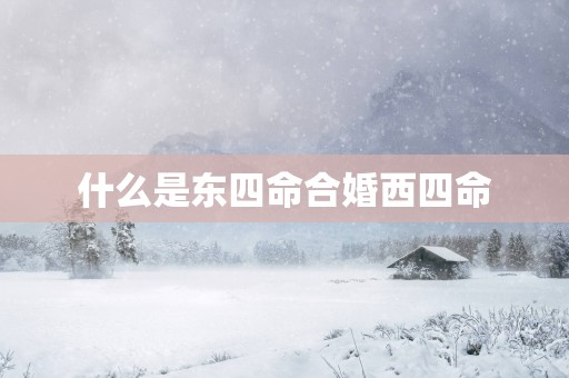 什么是东四命合婚西四命