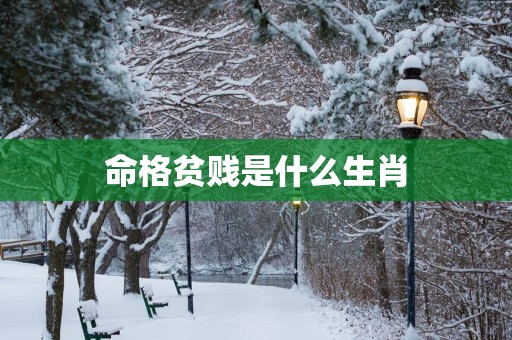 命格贫贱是什么生肖
