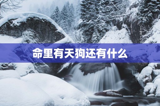 命里有天狗还有什么