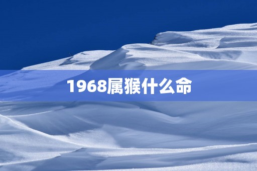 1968属猴什么命
