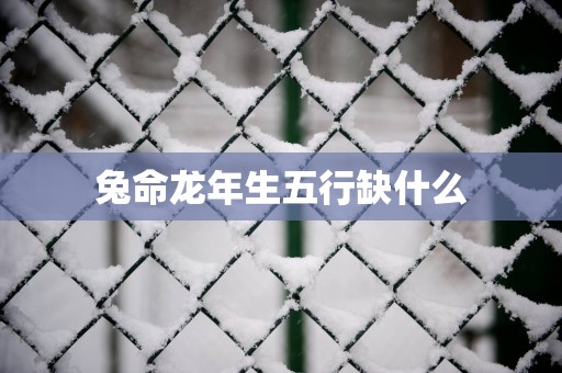 兔命蛇年生五行缺什么