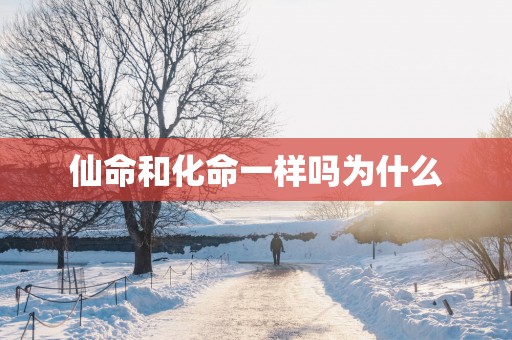 仙命和化命一样吗为什么