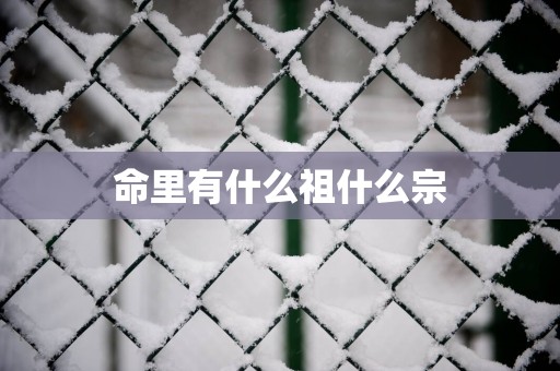 命里有什么祖什么宗