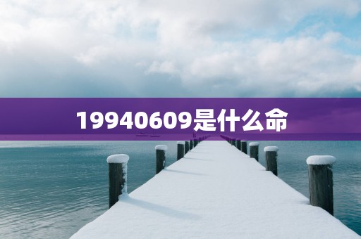 19940609是什么命