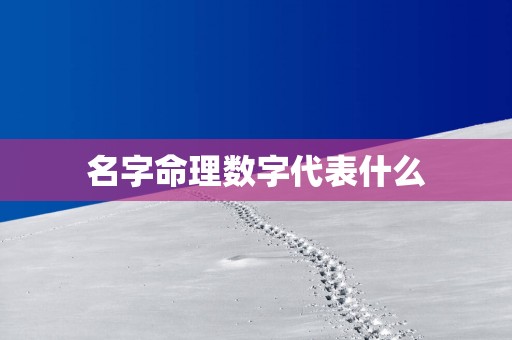 名字命理数字代表什么