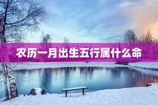 农历一月出生五行属什么命