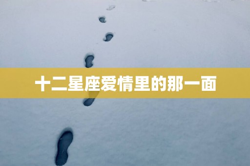 十二星座爱情里的那一面