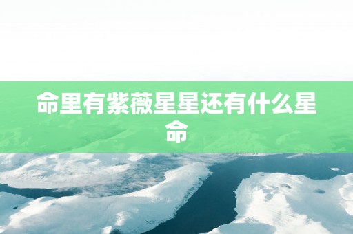 命里有紫薇星星还有什么星命