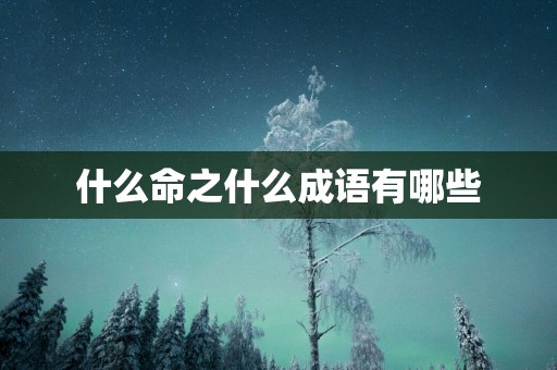 什么命之什么成语有哪些