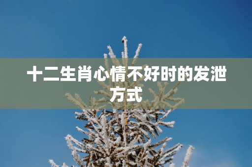 十二生肖心情不好时的发泄方式