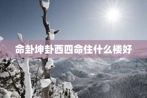 命卦坤卦西四命住什么楼好