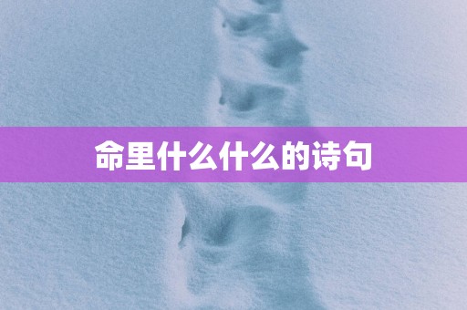 命里什么什么的诗句