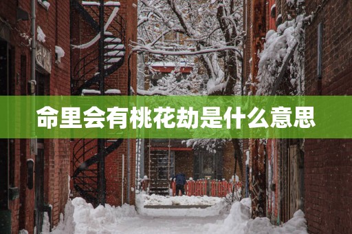 命里会有桃花劫是什么意思